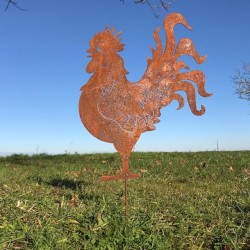 Gallo decorativo de metal oxidado para jardín