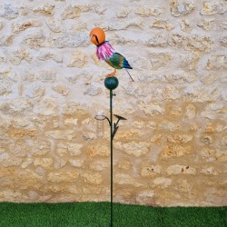 Pluviómetro decorativo de jardín con loro de colores