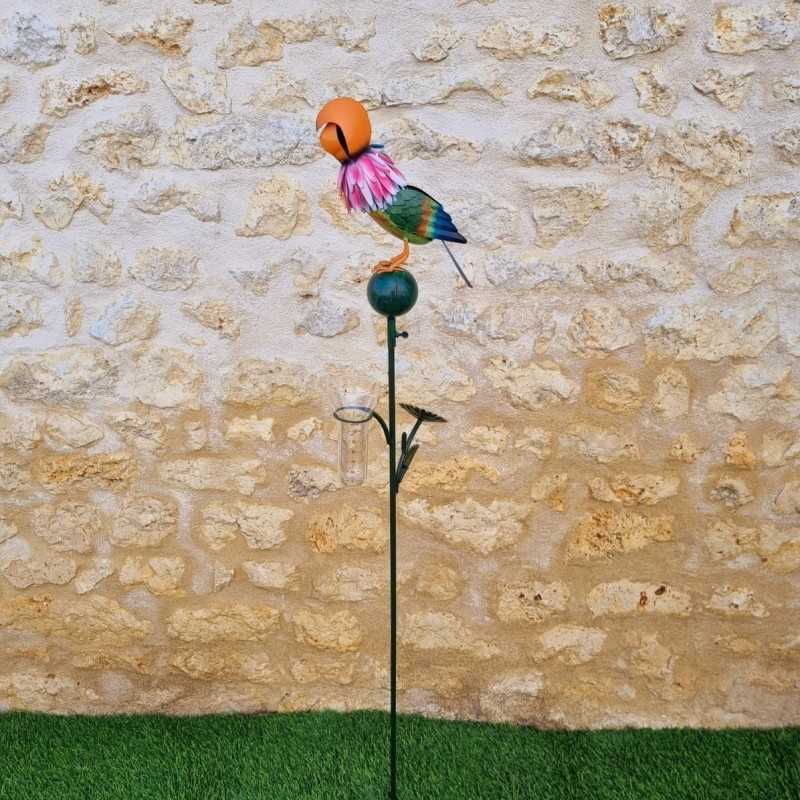 Pluviómetro decorativo de jardín con loro de colores