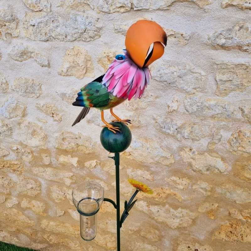Pluviómetro decorativo de jardín con loro de colores