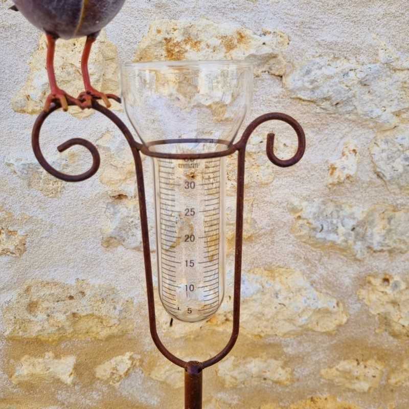 Pluviómetro decorativo con pájaro y sombrero – 145 cm