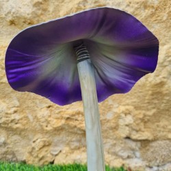 Champiñón de hierro para plantar violeta y naranja con peso 14,90 € LEZARD DU JARDIN