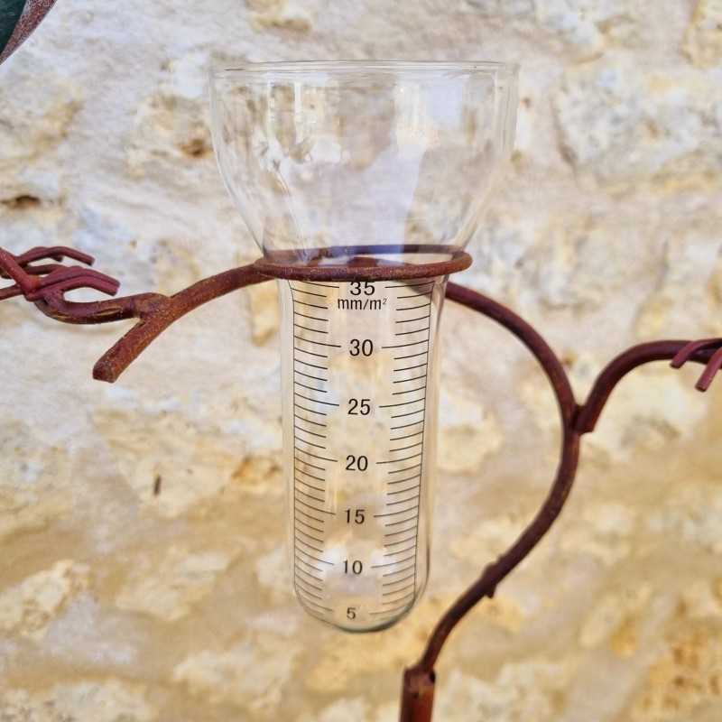 Pluviómetro con estaca, tutor para plantas, decoración de jardín, motivo de cuervo en hierro envejecido, embudo y tubo de vidrio