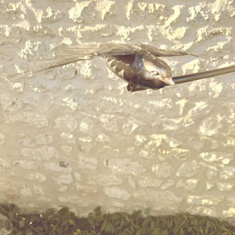 Móvil de jardín de acero inoxidable "Golondrinas en vuelo"