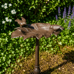 Baño para pájaros con pie instalado en un jardín natural