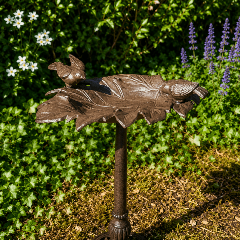 Baño para pájaros con pie instalado en un jardín natural