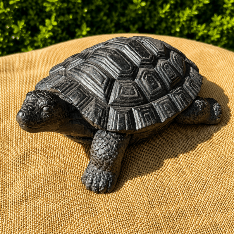 Caparazón realista de la tortuga de resina – Vista superior