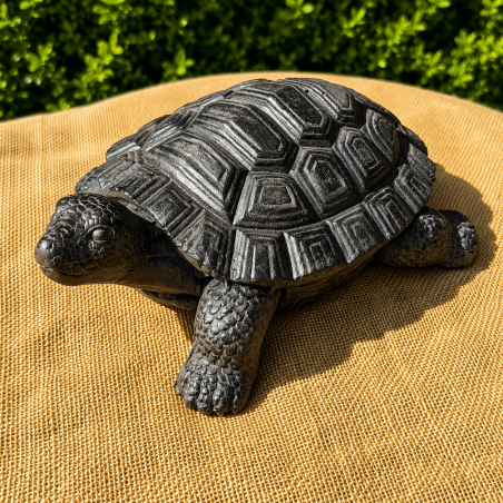 Caparazón realista de la tortuga de resina – Vista superior