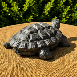 Tortuga terrestre gris antracita – Vista lateral