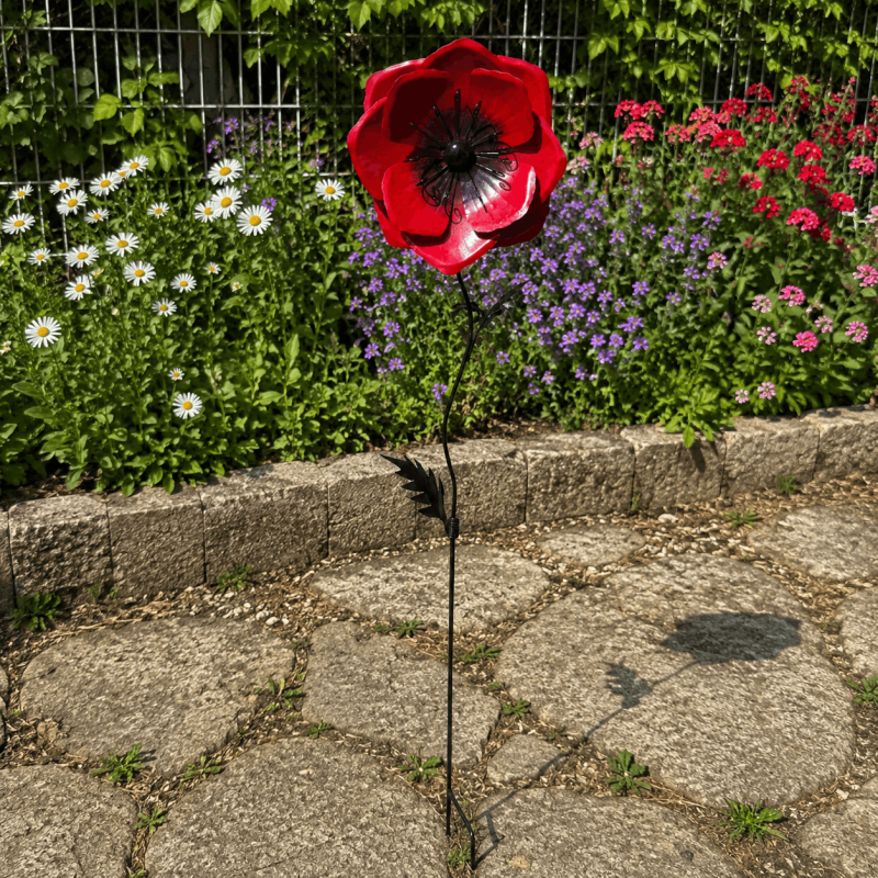 Centro negro y estambres de la amapola decorativa – Vista de cerca