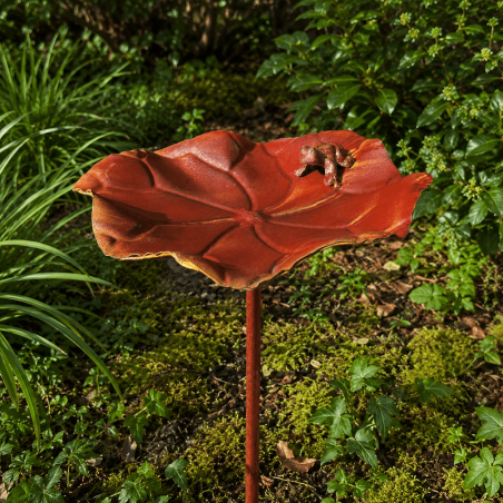 Baño para pájaros con rana y hoja de nenúfar