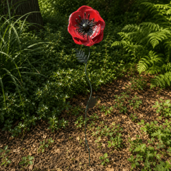 Flor decorativa de amapola roja instalada en un jardín natural