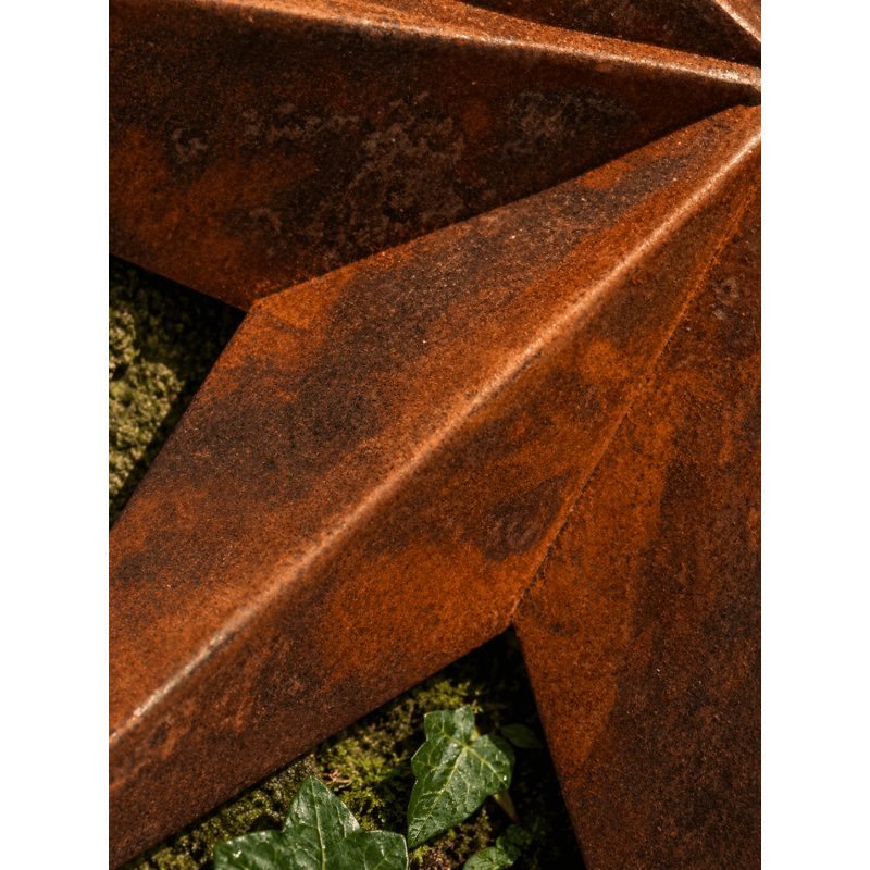 Acabado oxidado de la rosa de los vientos de metal – Detalle
